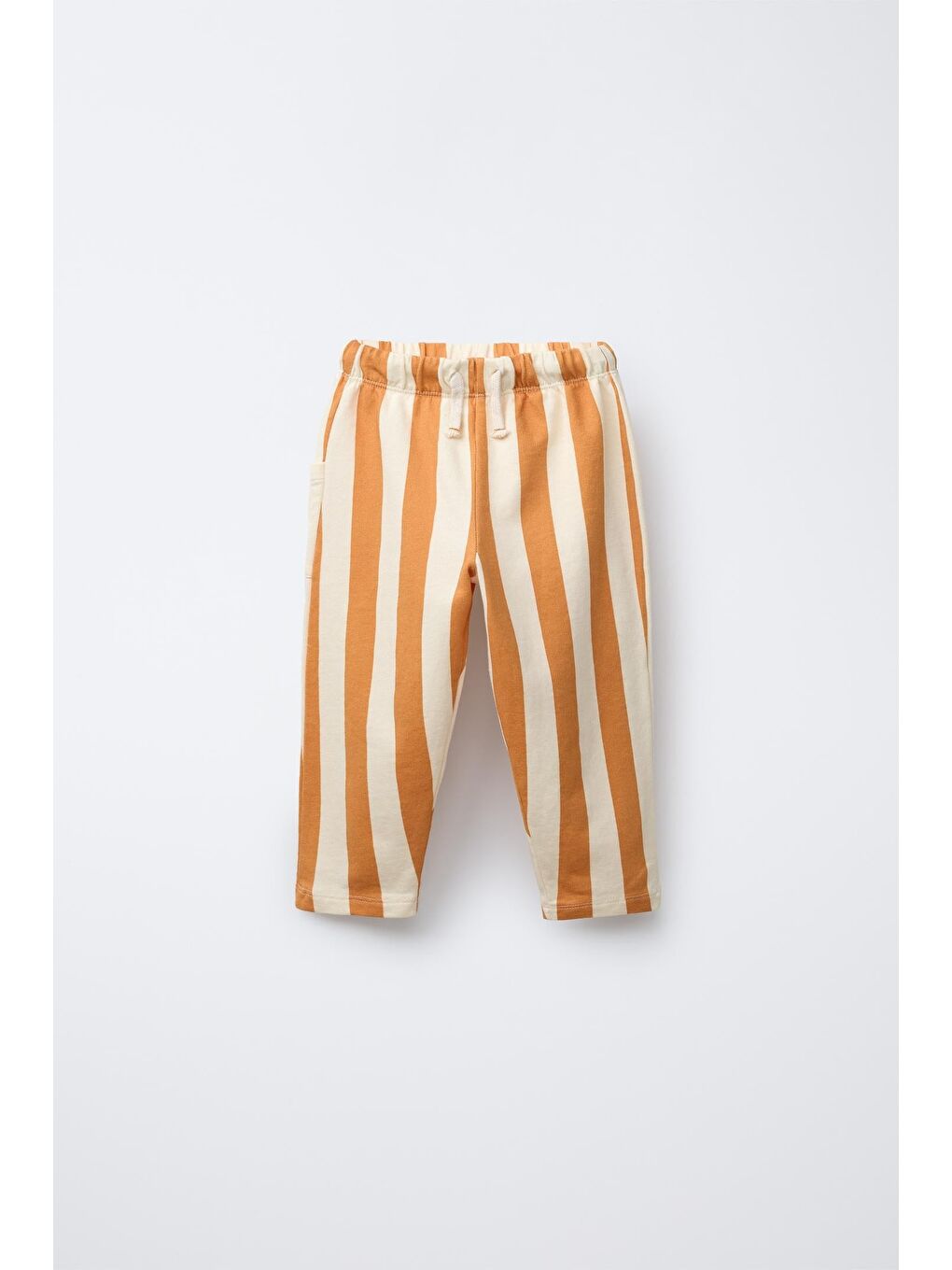 Karışık Erkek Çocuk Pamuklu Beyaz Aslan Baskılı T-Shirt Takım - Çizgili Pantolonlu 2'Li Set-2