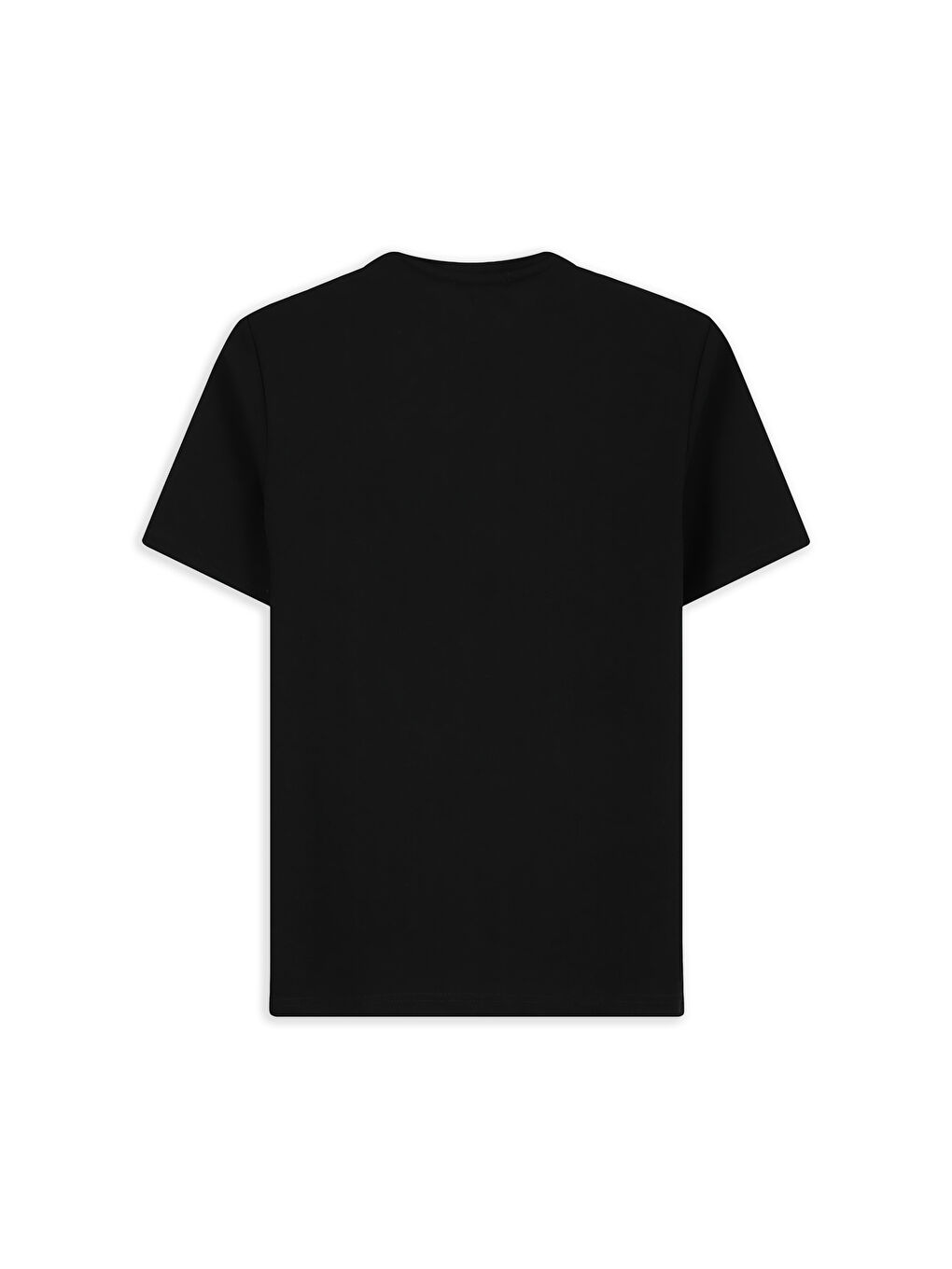 Siyah Bisiklet Yaka Regular Fit Nakışlı Elastanlı Esnek Tişört-1