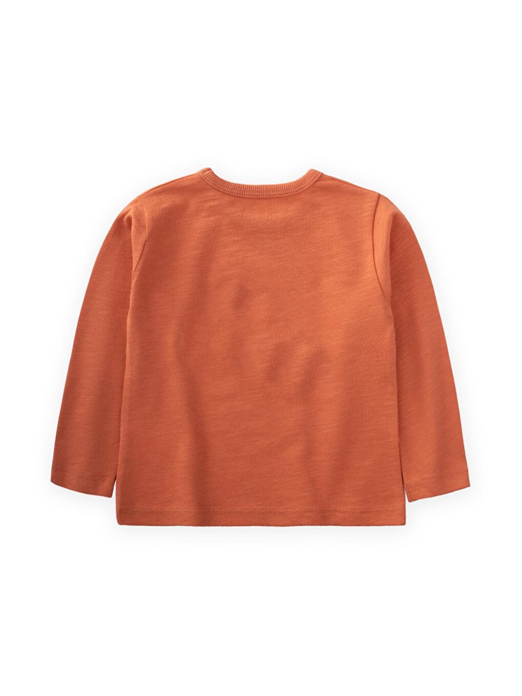 Turuncu Seek Wıldlıfe Nakışlı Mevsimlik T-Shırt 1-7 Yaş Oranj-1