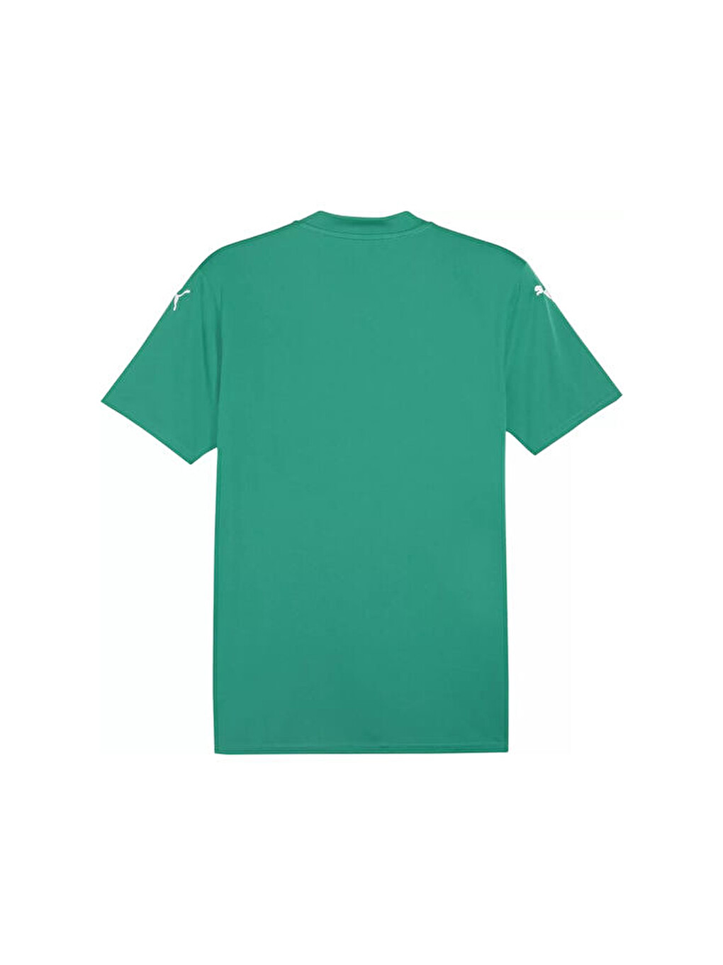 Teamglory Jersey Erkek Futbol Forması 70574005 Yeşil-1