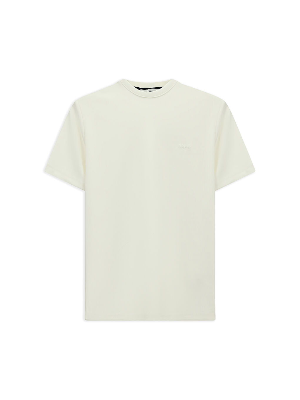 Ekru Bisiklet Yaka Regular Fit Nakışlı Elastanlı Esnek Tişört