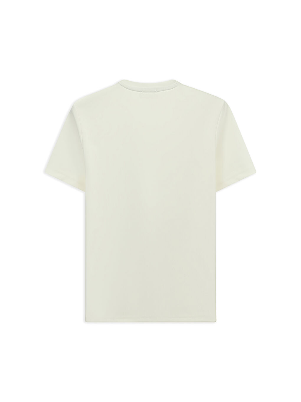 Ekru Bisiklet Yaka Regular Fit Nakışlı Elastanlı Esnek Tişört-1