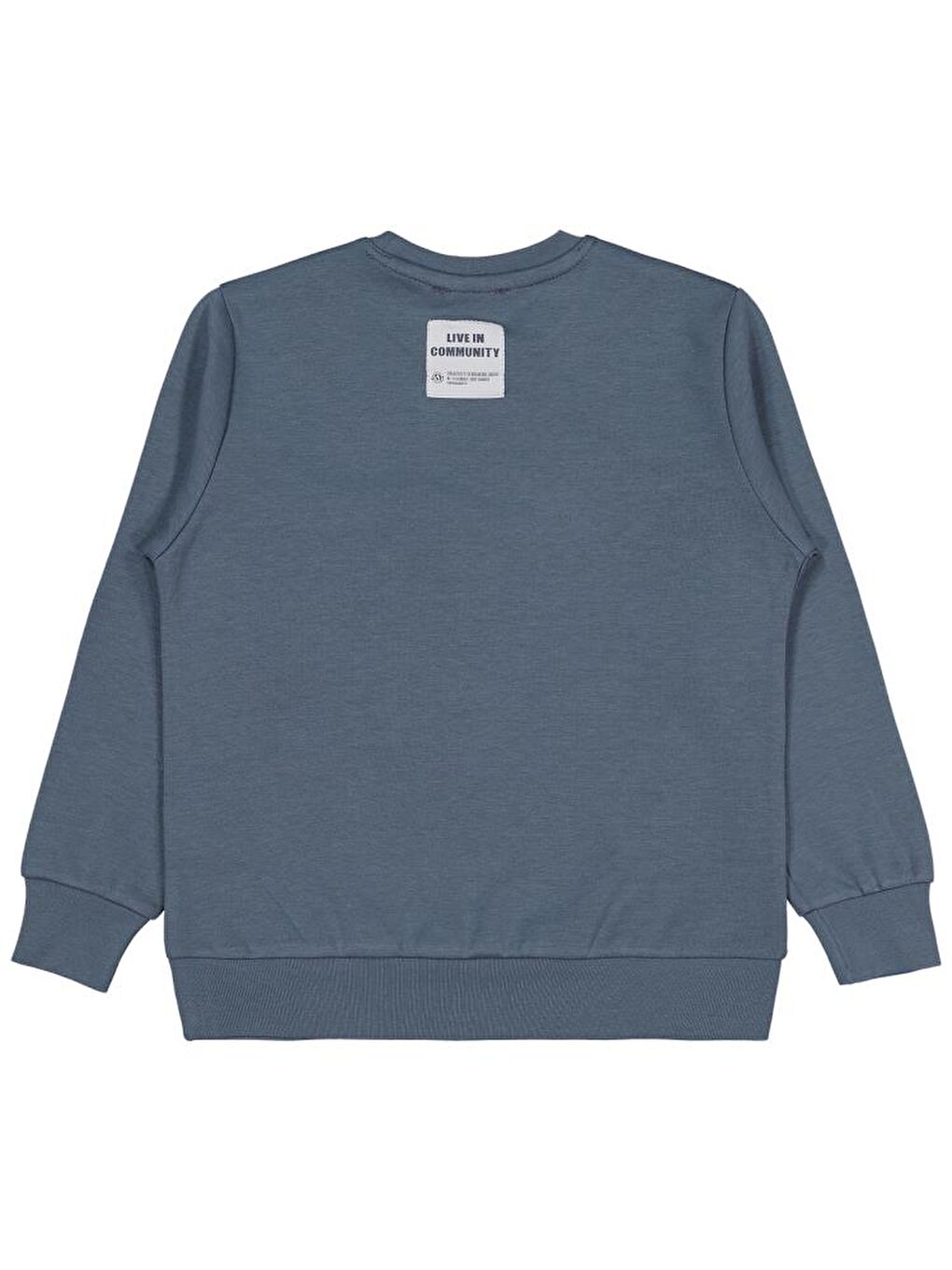 Antrasit Boys Etiketli - Micro Garnili 6-9 Yaş Sweatshirt-2