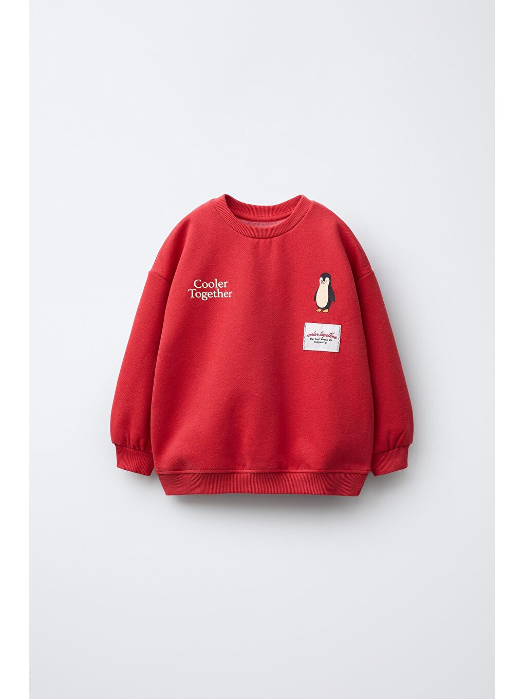 Karışık Erkek Çocuk Pamuklu Kırmızı Penguen Baskılı Sweat & Siyah Eşofman Takım – Oversize-2