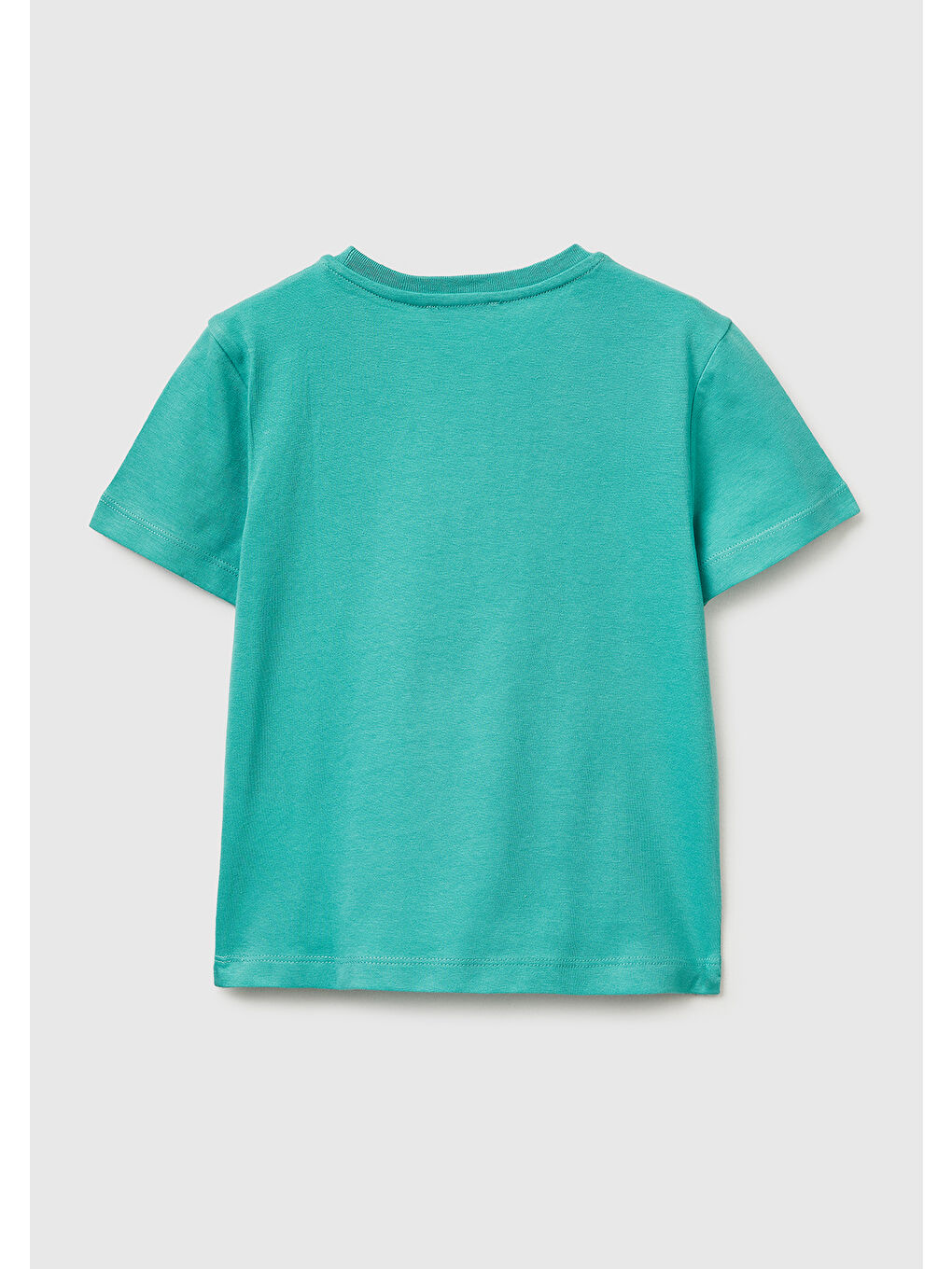 Erkek Çocuk Mavi-yeşil Önü Logo Baskılı Yuvarlak Yaka T-Shirt-1