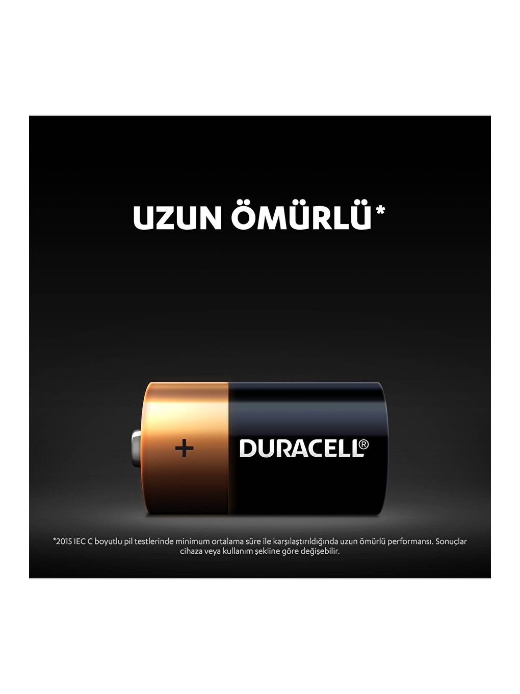 Alkalin C Piller  2 li Paket-2