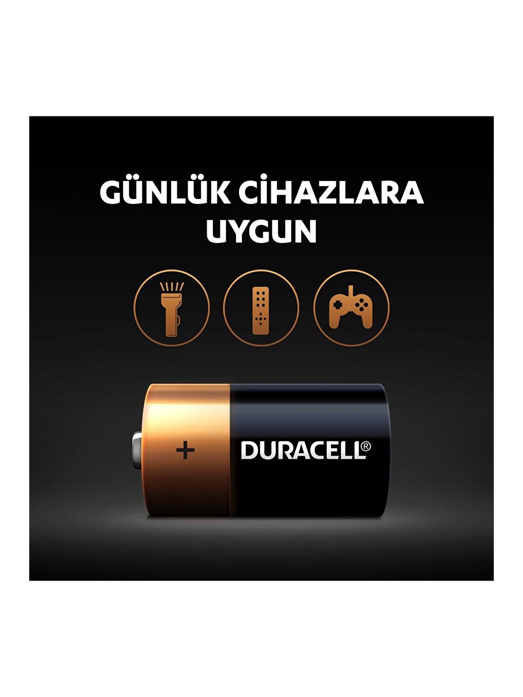 Alkalin C Piller  2 li Paket-3