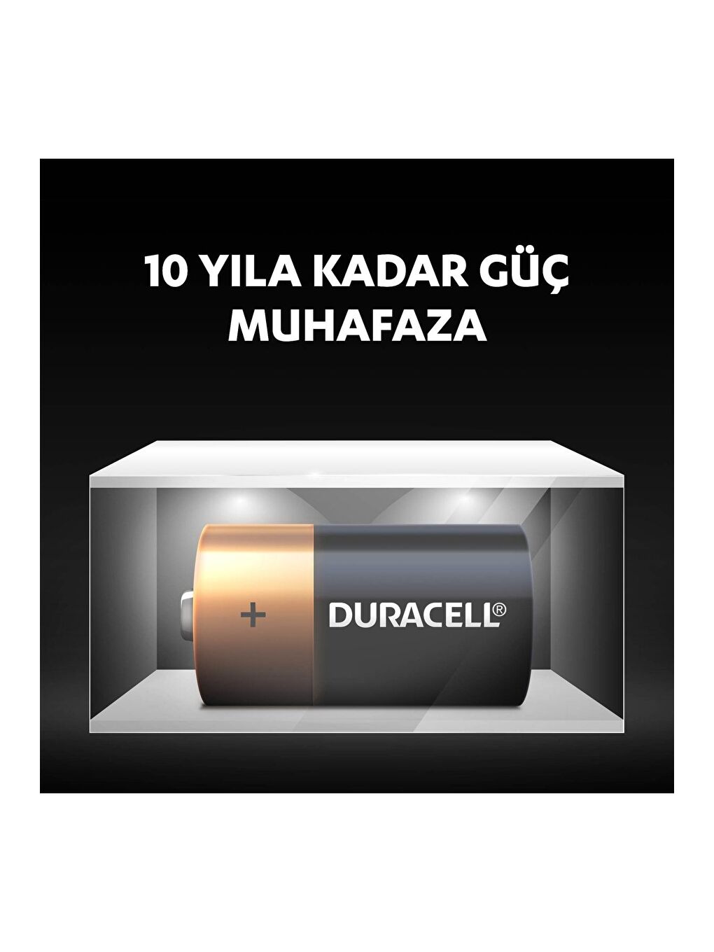 Alkalin C Piller  2 li Paket-4