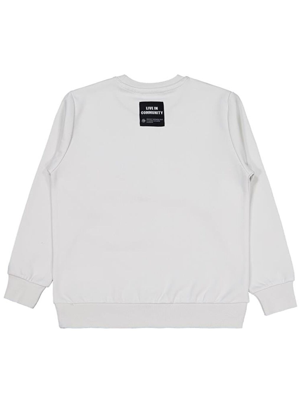 Gri Boys Etiketli - Micro Garnili 10-13 Yaş Sweatshirt-2