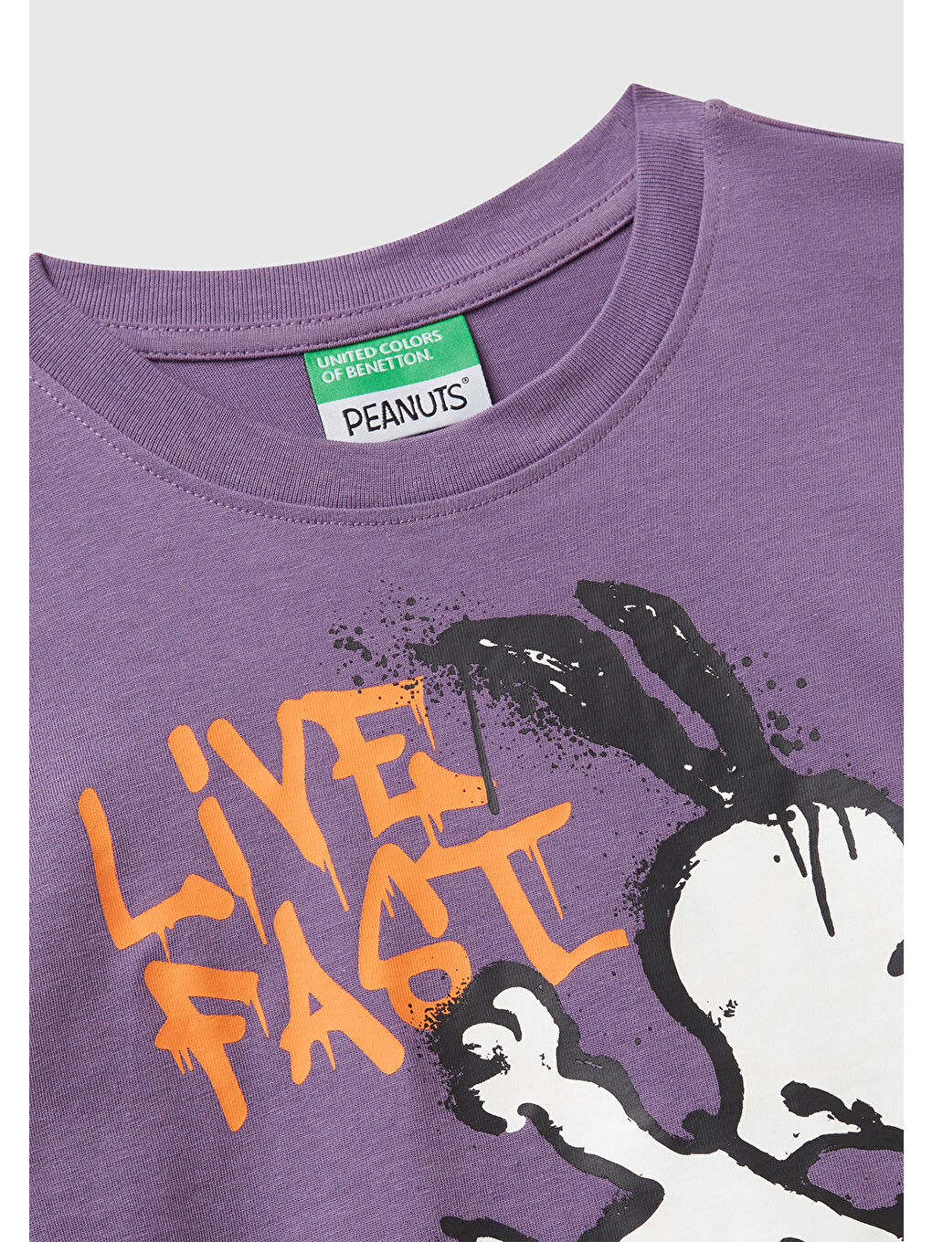 Erkek Çocuk Mor Önü Renkli Peanuts Baskılı Jarse T-shirt-2