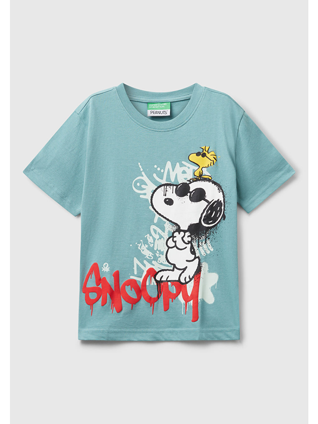 Erkek Çocuk Gri-Yeşil Önü Renkli Peanuts Baskılı Jarse T-shirt