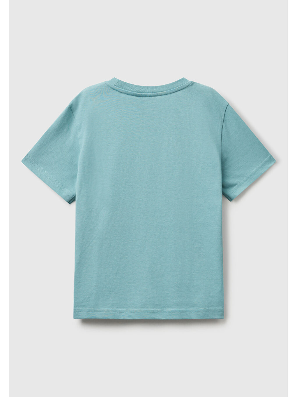 Erkek Çocuk Gri-Yeşil Önü Renkli Peanuts Baskılı Jarse T-shirt-1