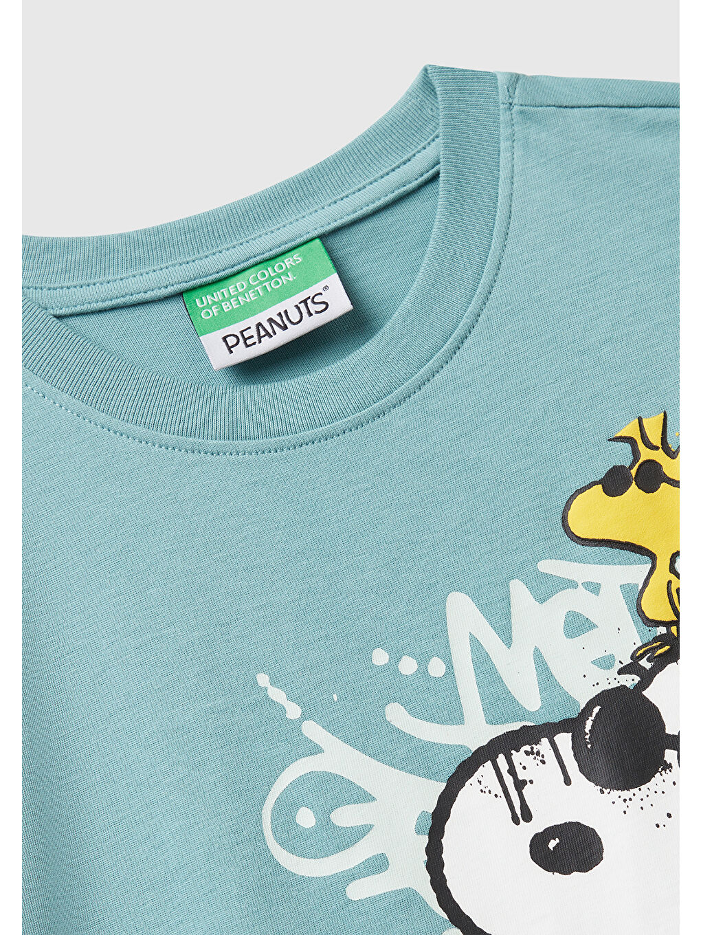 Erkek Çocuk Gri-Yeşil Önü Renkli Peanuts Baskılı Jarse T-shirt-2