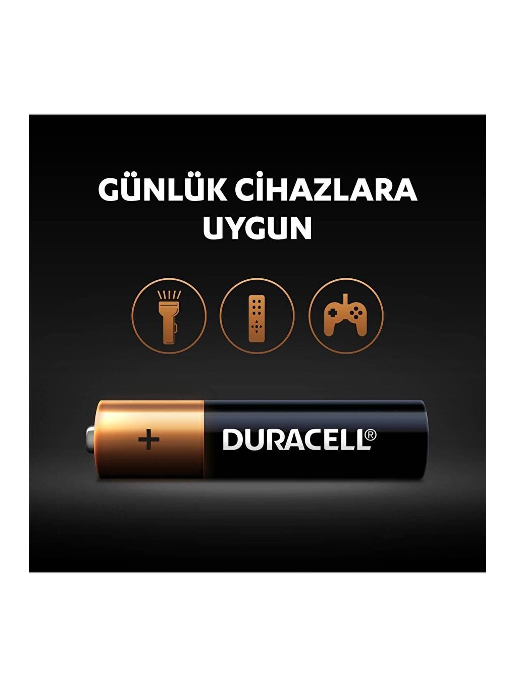 AAA Alkalin İnce Kalem Pil  10 lu paket  1 5 V LR03 MN2400-3