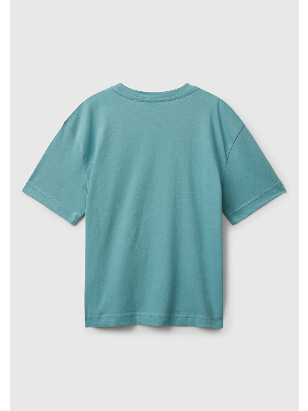 Erkek Çocuk Gri-Yeşil Çok Renkli Peanuts Baskılı Kolu Logo Etiketli Comfort Fit T-shirt-1