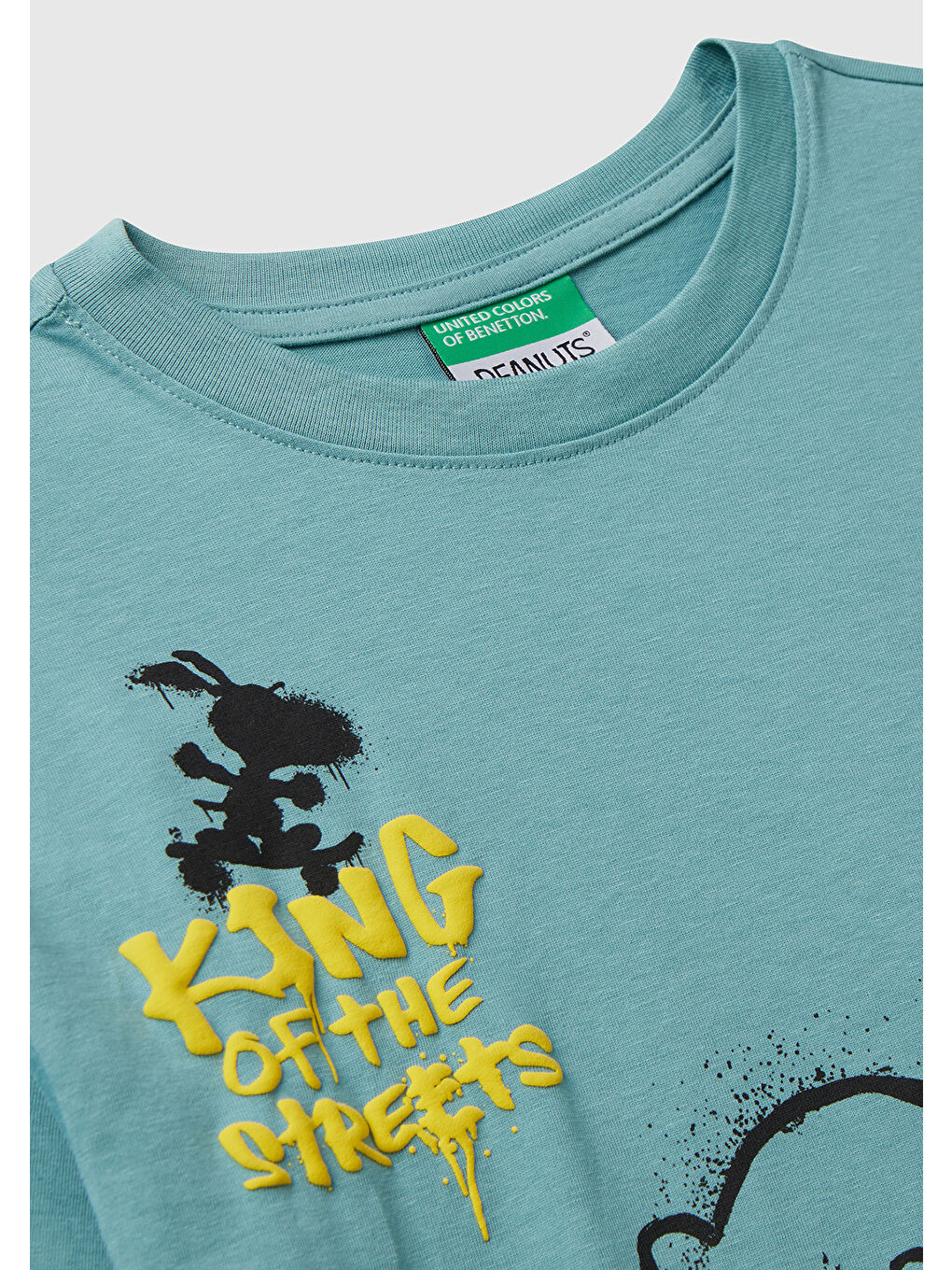 Erkek Çocuk Gri-Yeşil Çok Renkli Peanuts Baskılı Kolu Logo Etiketli Comfort Fit T-shirt-2