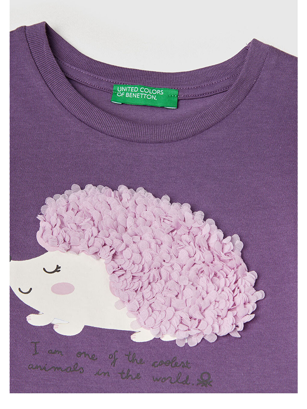 Kız Çocuk Mor Önü Baskılı Ribana Yakalı Uzun Kollu T-shirt-2