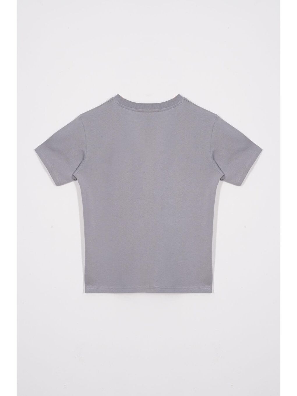 Zepkids Bisiklet Yaka Kaplan Baskılı Gri Renk Erkek Çocuk Tshirt - 2
