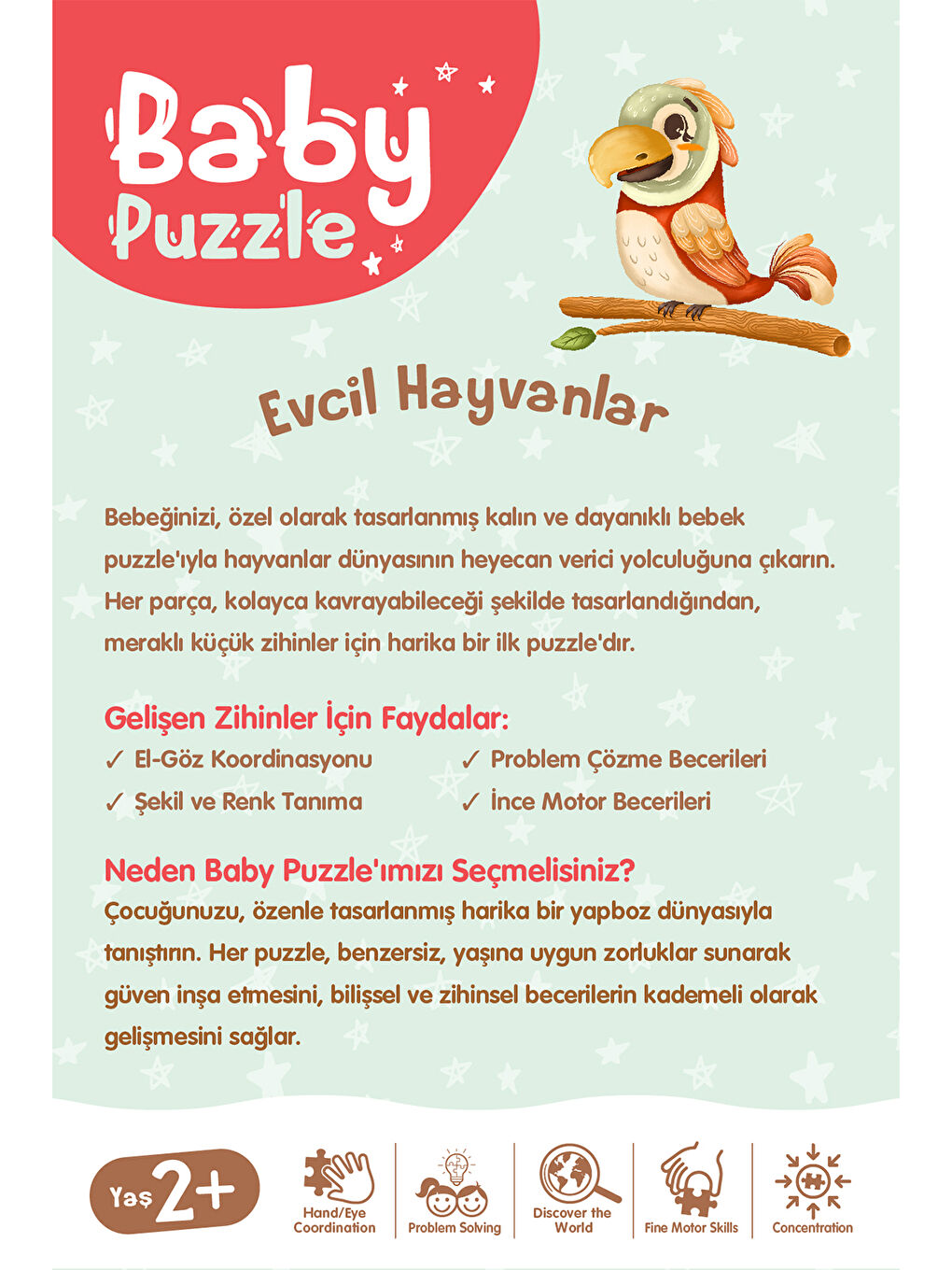 Baby Puzzle Evcil Hayvanlar 13 Parça-3