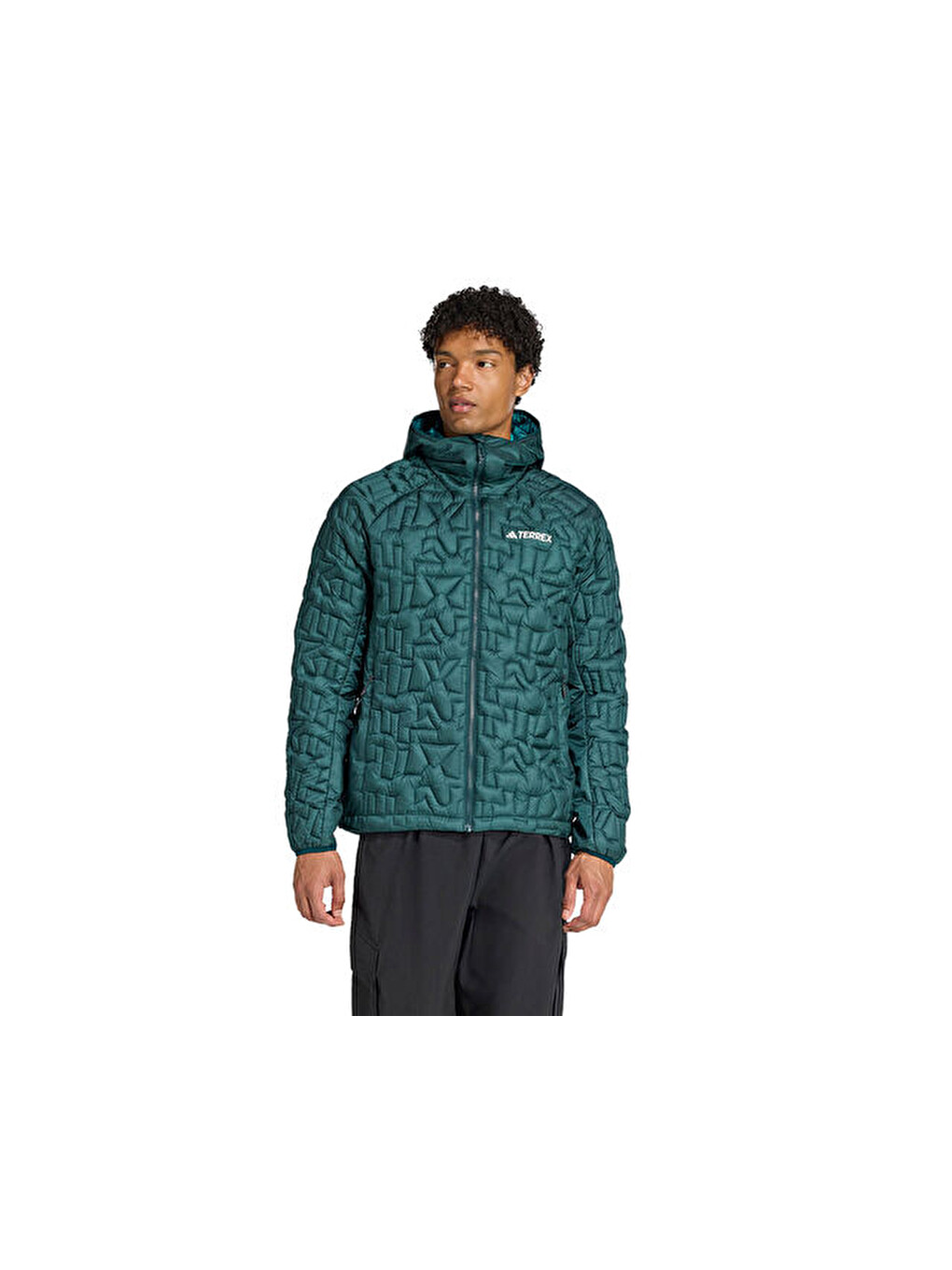 Terrex Xpr Lf Ho Jkt Erkek Outdoor Montu Jl9744 Yeşil