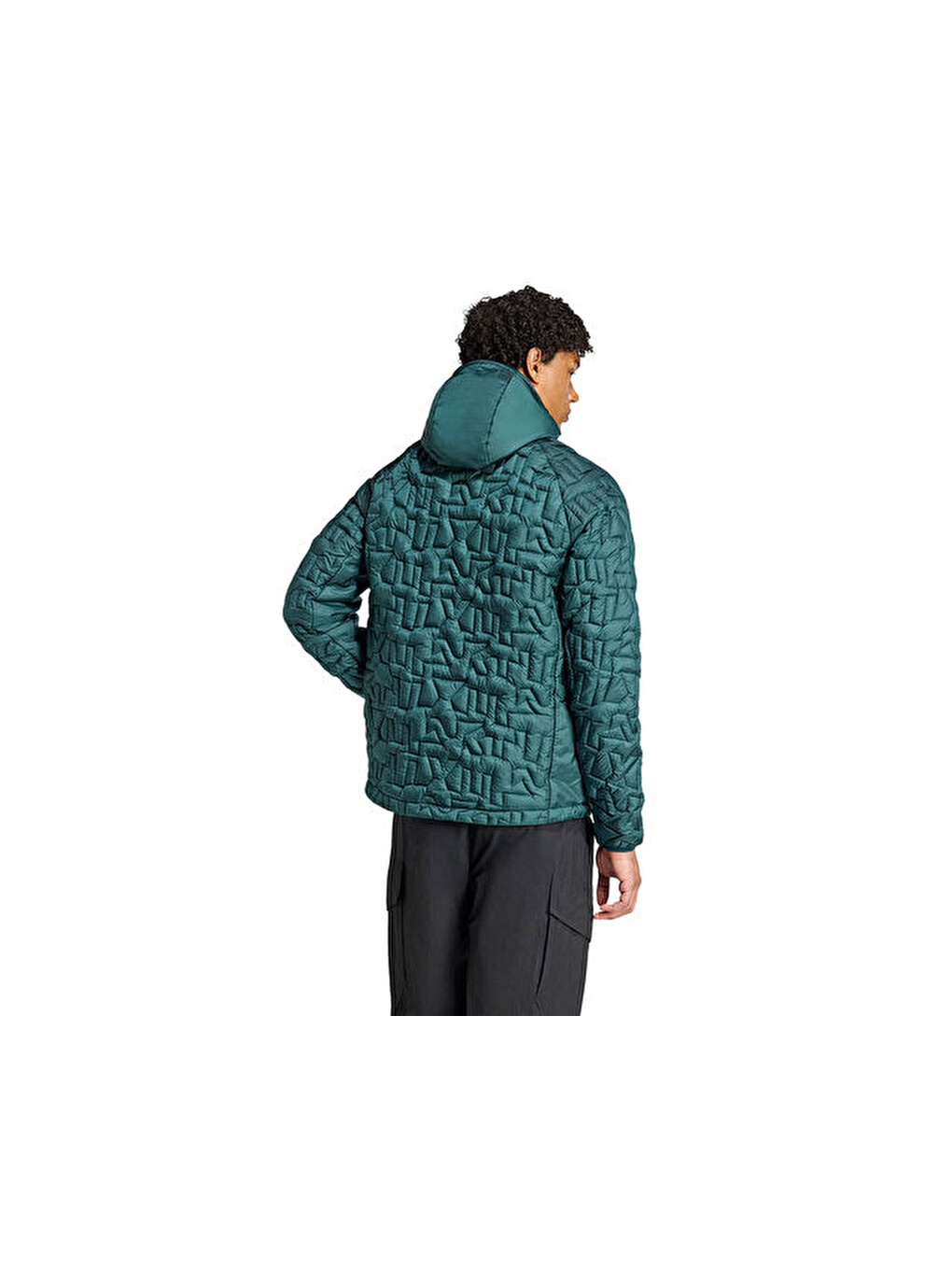 Terrex Xpr Lf Ho Jkt Erkek Outdoor Montu Jl9744 Yeşil-1