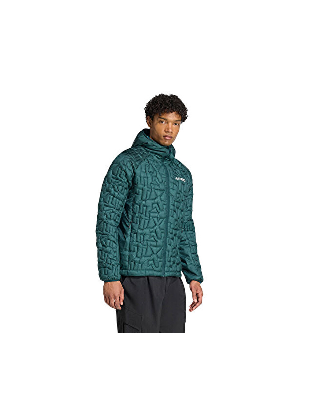 Terrex Xpr Lf Ho Jkt Erkek Outdoor Montu Jl9744 Yeşil-2