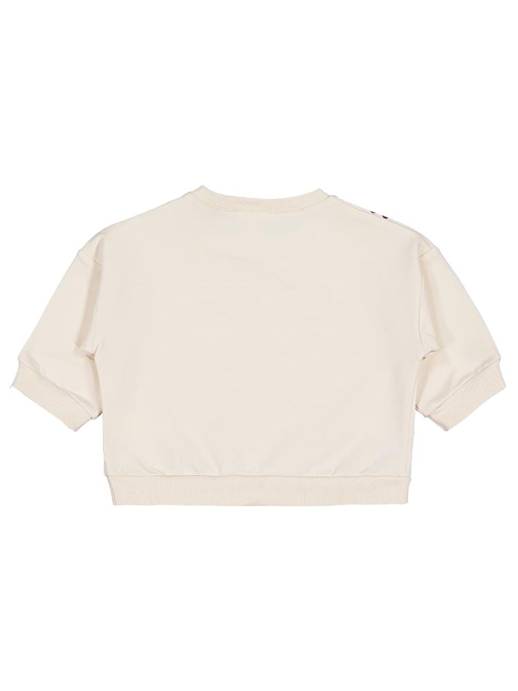 Bej Baby Çiçek Baskı Ve Nakışlı 6-18 Ay Sweatshirt