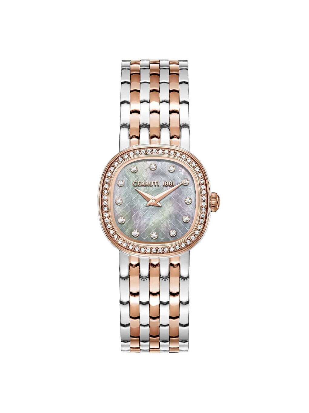 Gri Cerruti 1881 CIWLG0072910 Kadın Kol Saati