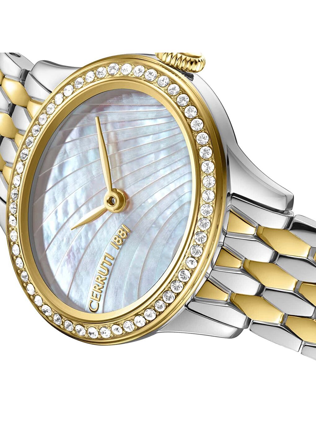 Sarı Cerruti 1881 CIWLG0073901 Kadın Kol Saati-3
