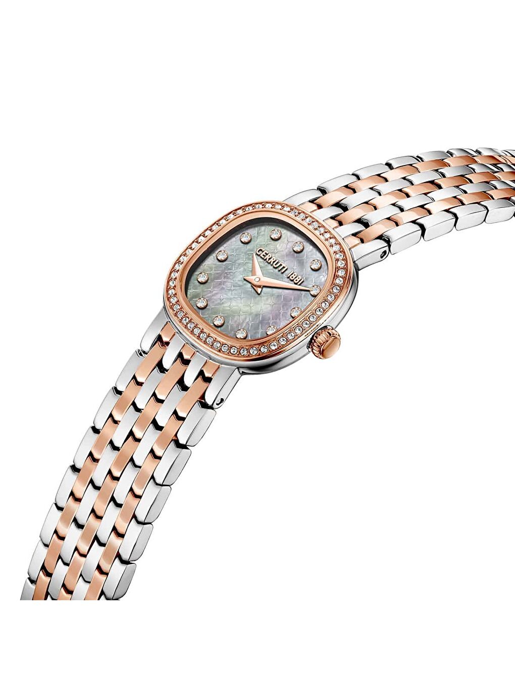 Gri Cerruti 1881 CIWLG0072910 Kadın Kol Saati-1