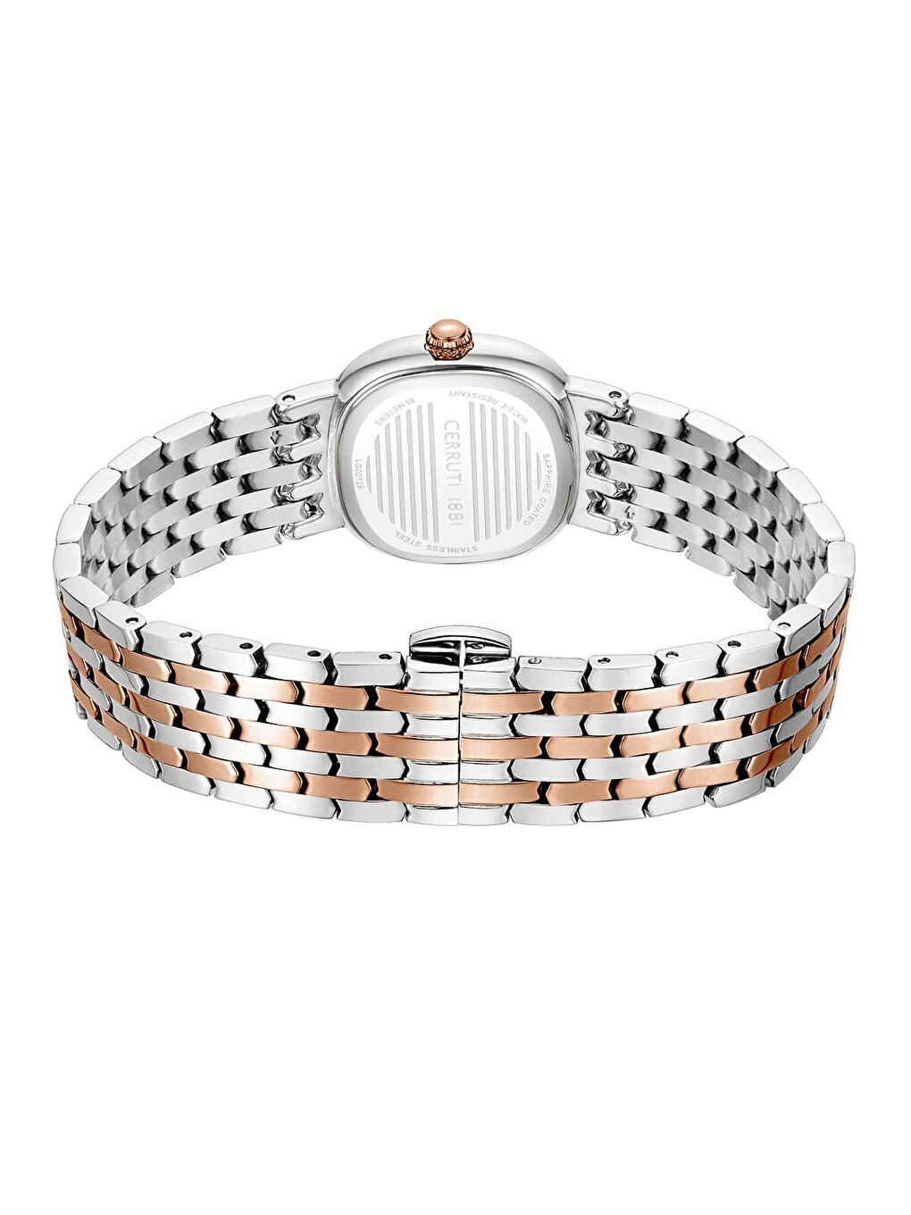 Gri Cerruti 1881 CIWLG0072910 Kadın Kol Saati-2