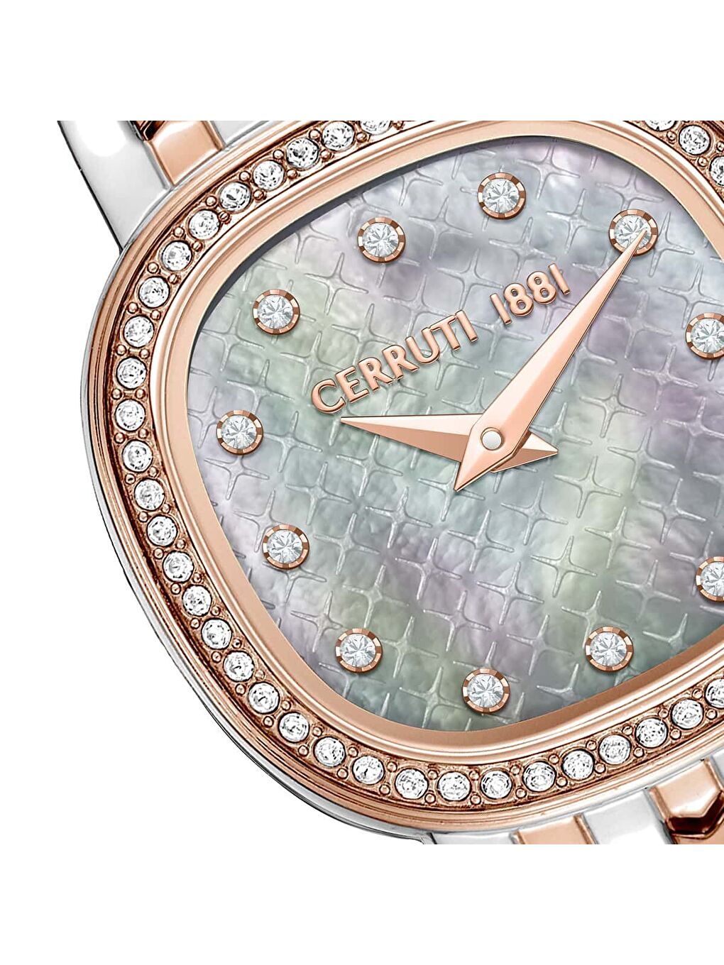 Gri Cerruti 1881 CIWLG0072910 Kadın Kol Saati-3