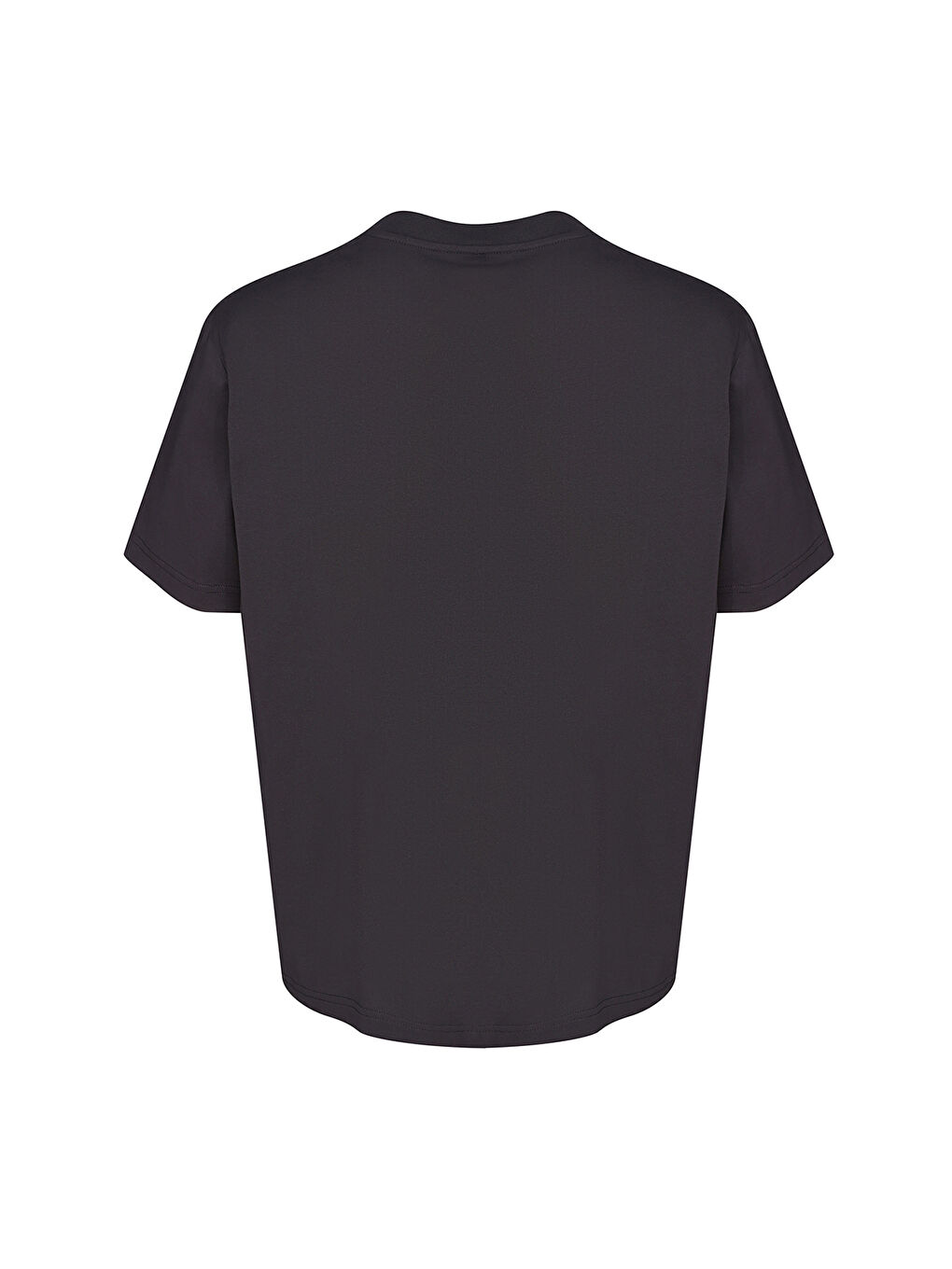 T-Pulse Co Regular Erkek Siyah Yuvarlak Yaka Tişört-2