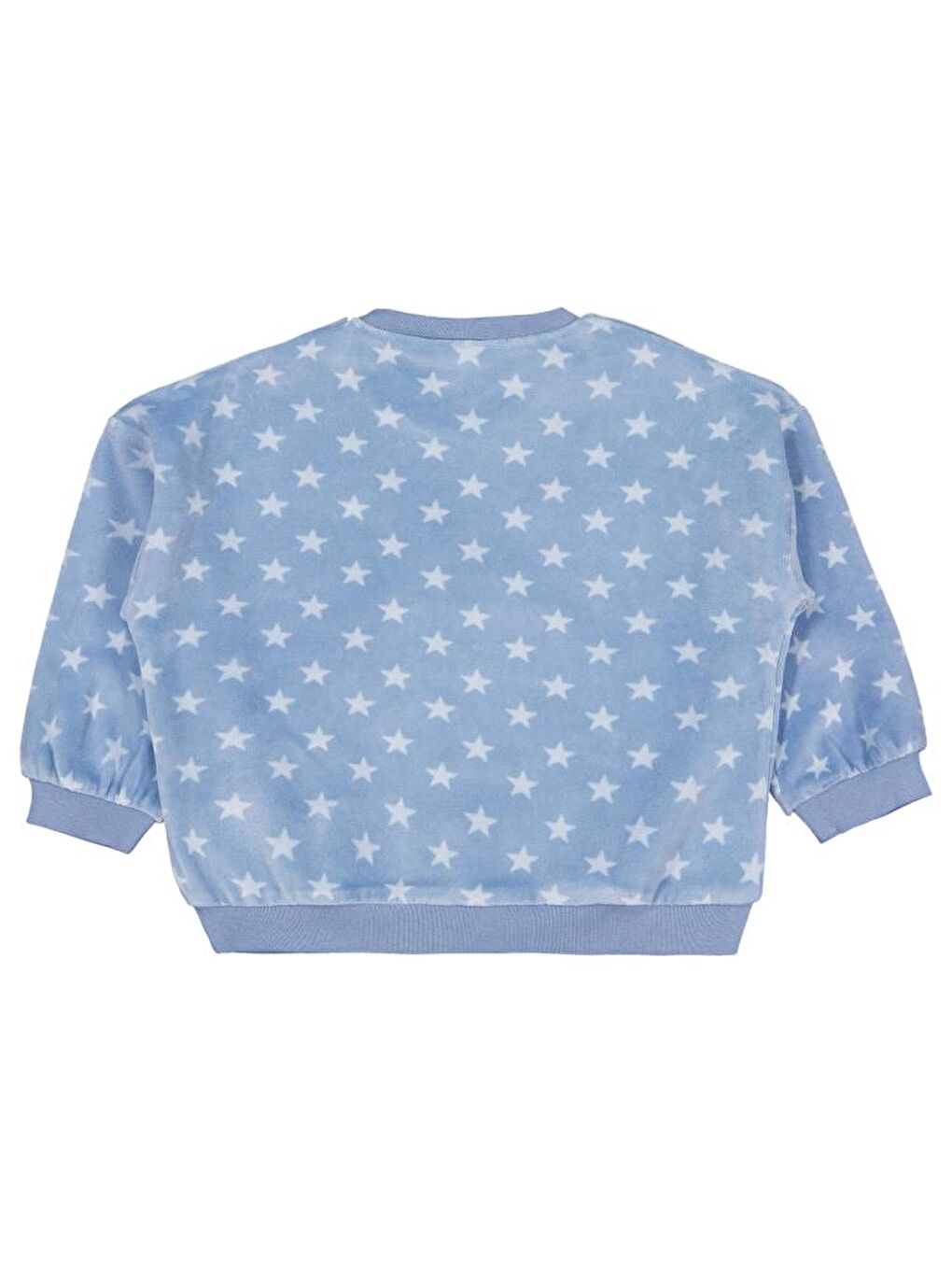 Baby Fok Balığı Nakışlı 6-18 Ay Sweatshirt - Mavi 12-18 Ay-1