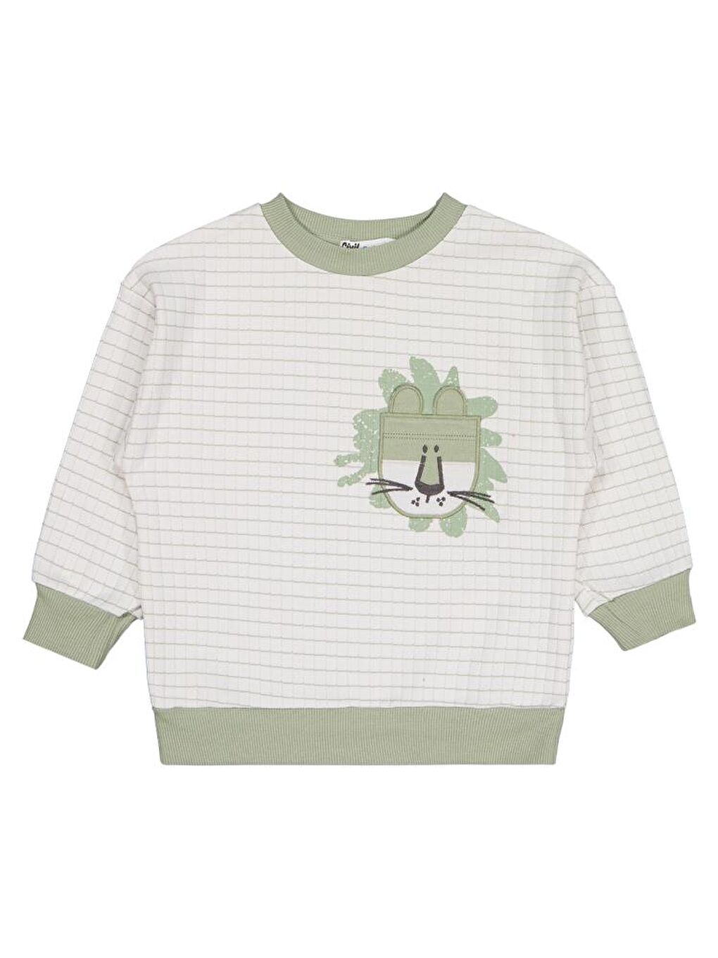 Boys Aslan Nakışlı 2-5 Yaş Sweatshirt - Yeşil 4-5 Yaş