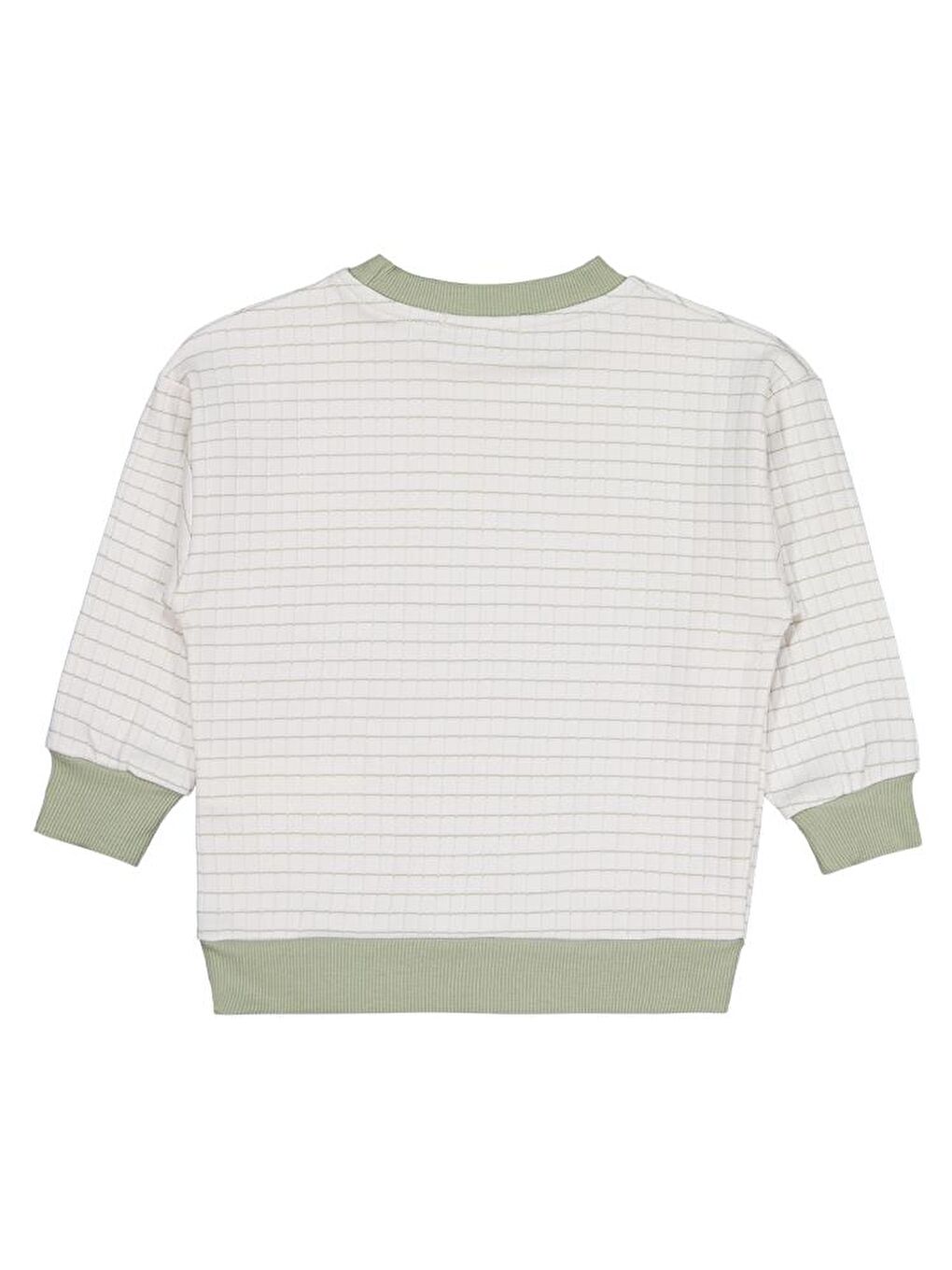 Boys Aslan Nakışlı 2-5 Yaş Sweatshirt - Yeşil 4-5 Yaş-1