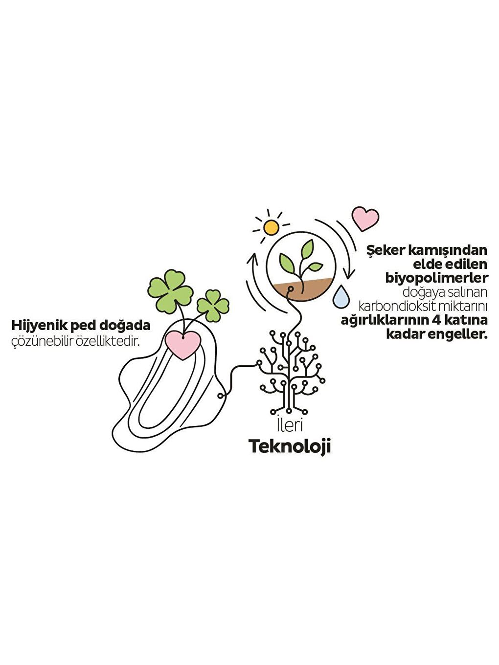 Sleepy Beyaz Tekli Paket Ecologic Premium Plus Günlük Ped Normal 80 Adet Ped - 2