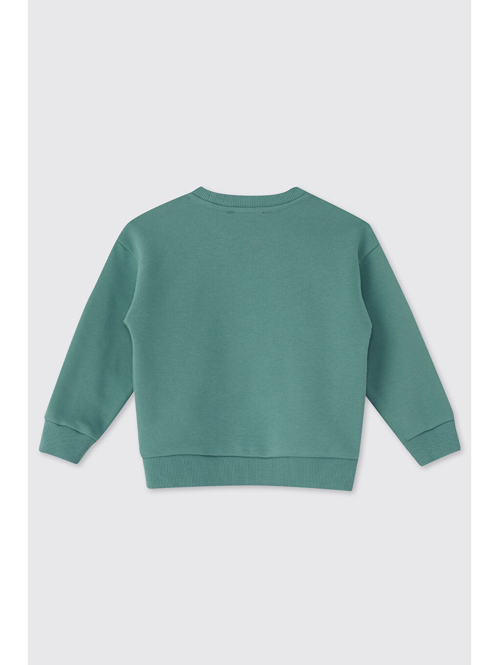 Erkek Bebek Baskılı Yeşil Sweatshirt-1