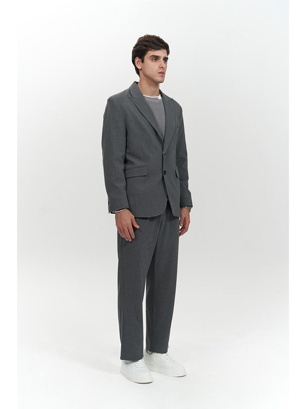 Gri Orlando Füme Erkek Ceket Pantolon Takım-2