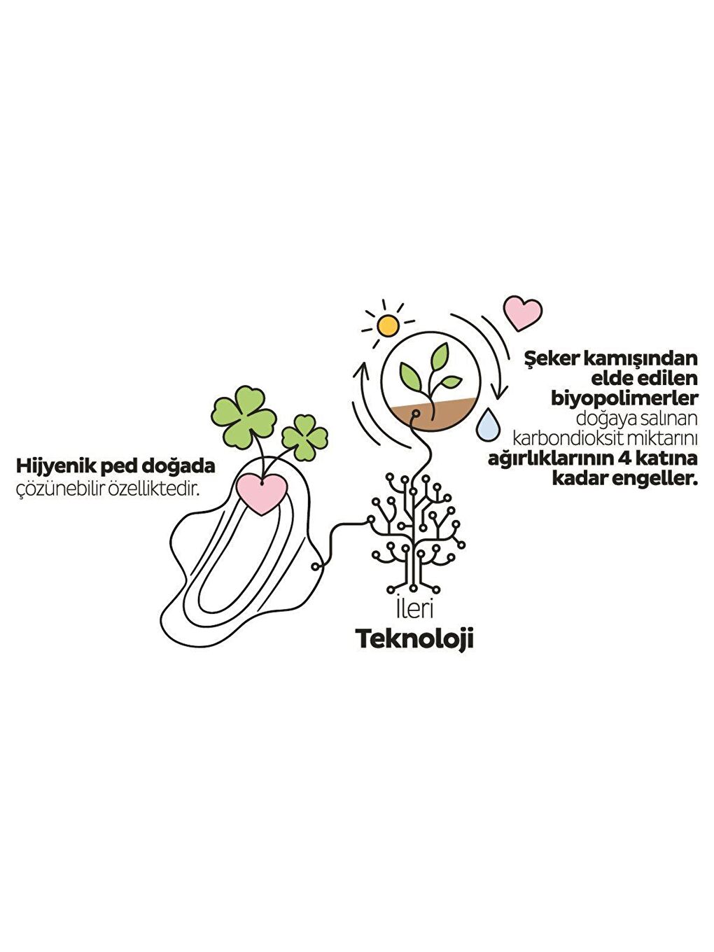 Sleepy Beyaz Tekli Paket Ecologic Premium Plus Hijyenik Ped Uzun 40 Adet Ped - 2