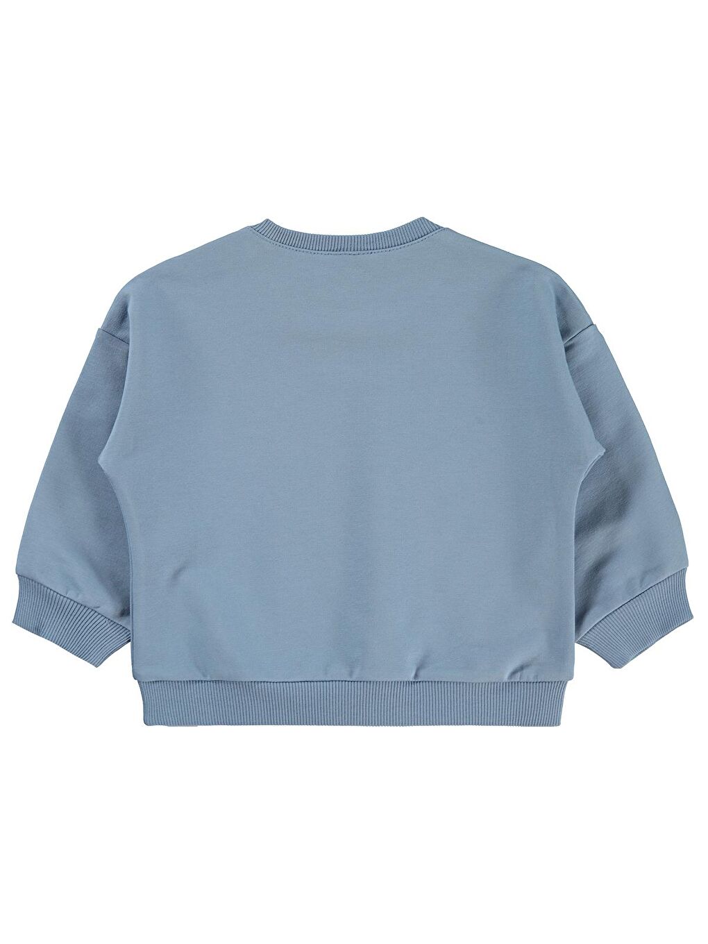 Baby Basic 6-18 Ay Sweatshirt - Mavi 6-9 Ay-1