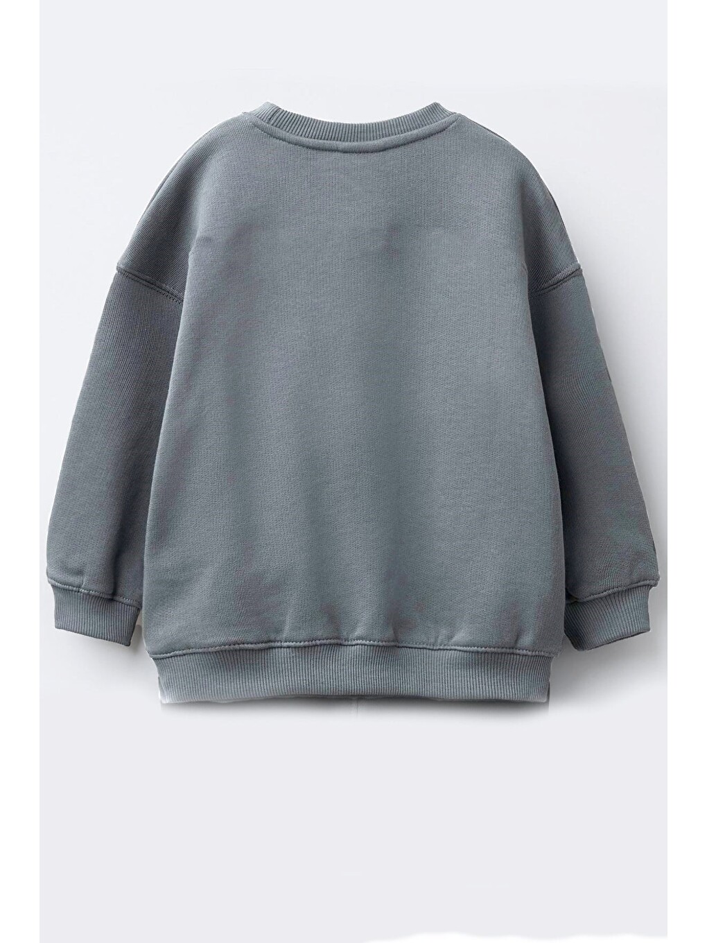 Antrasit Kız Çocuk 3 İplik Kumaş Pamuklu Baskılı Sweatshirt-2