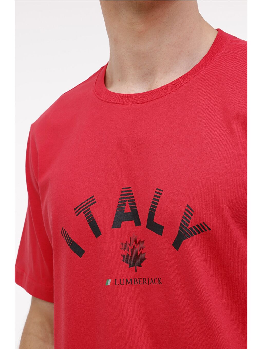 Lumberjack ML AUSTIN 11SD1044 4PR Kırmızı Erkek Kısa Kol T-Shirt - 3