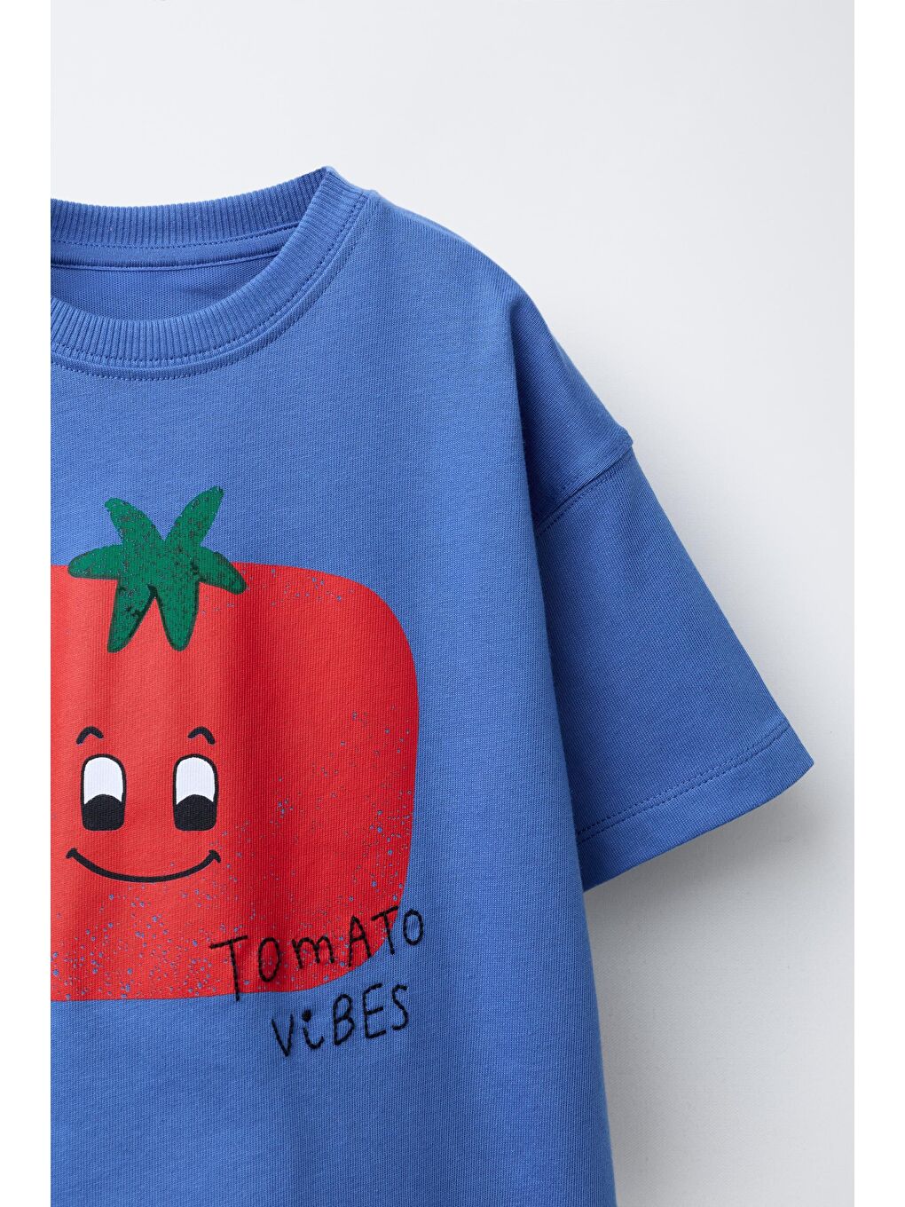 Karışık Unisex Çocuk Pamuklu Mavi Domates Baskılı T-Shirt Şort Takım-2