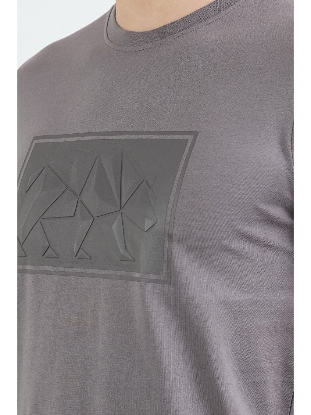 Antrasit Kutup Ayısı Kabartma Baskılı Tişört-4