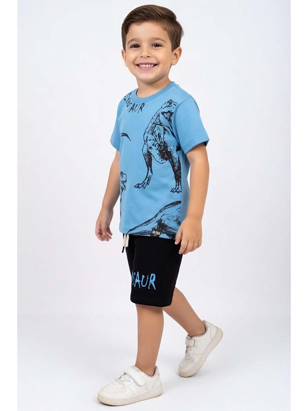 Mavi Erkek Çocuk Üzeri Kara Kalem Dinozor Çizimli Dinosaur Baskılı Şortlu Takım-1