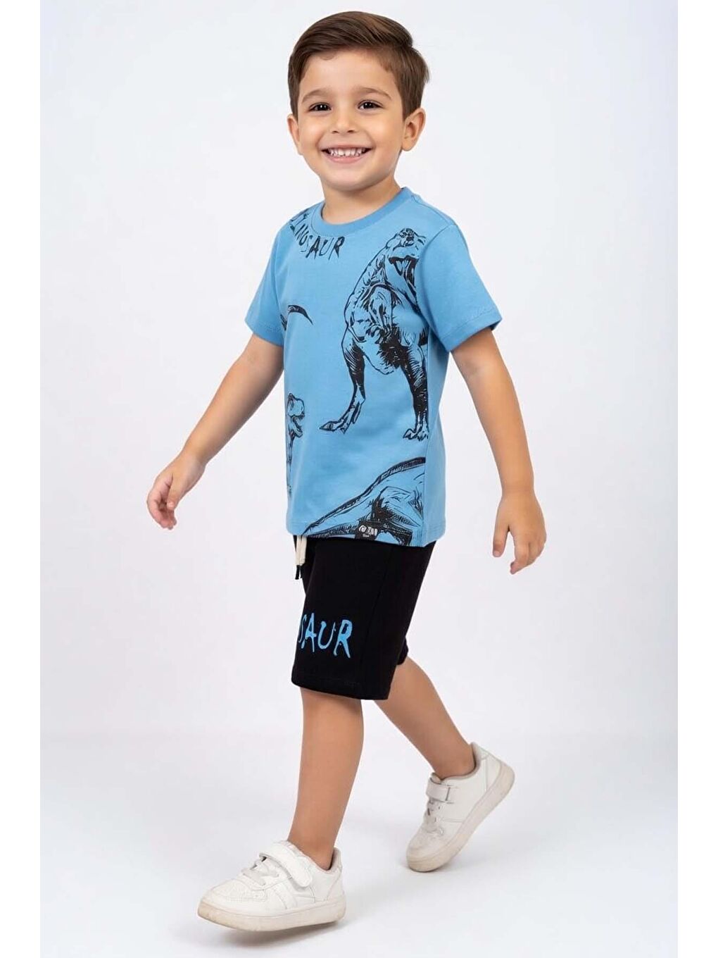 Mavi Erkek Çocuk Üzeri Kara Kalem Dinozor Çizimli Dinosaur Baskılı Şortlu Takım-2