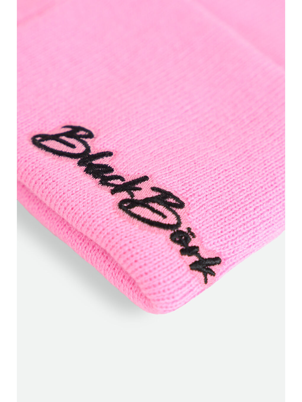 Aslan Logolu Pembe Çocuk Bere-2