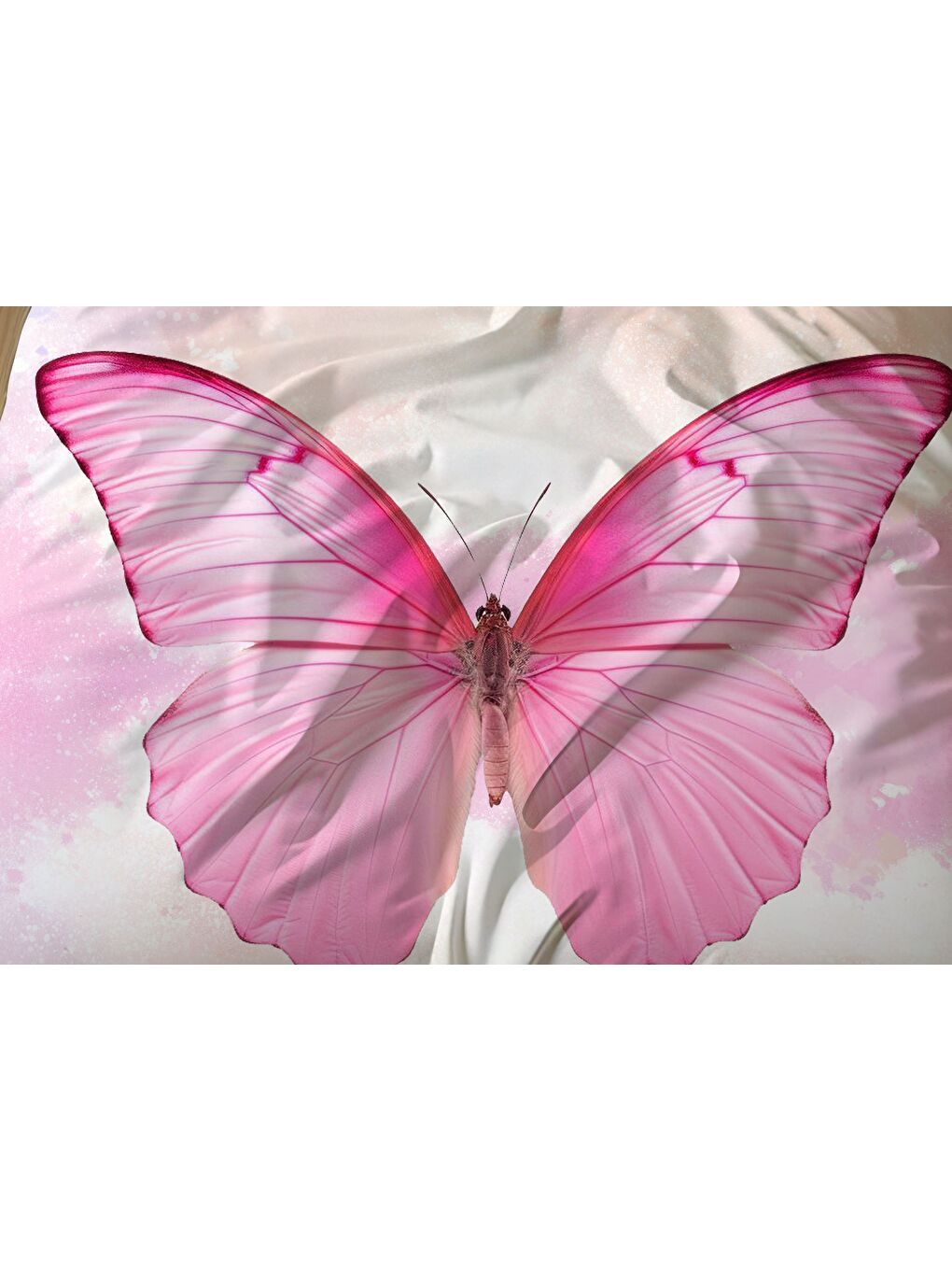 Karışık Çift Taraflı Kelebek Desenli - Baskılı Tek Kişilik Nevresim Takımı-2