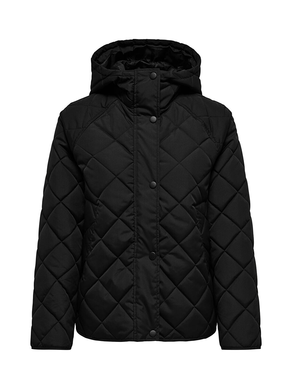 Siyah Onlsigga Kapitoneli Regular Fit Kapüşon Yaka Ceket 15358867